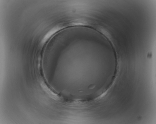 X0000113251179200909171619