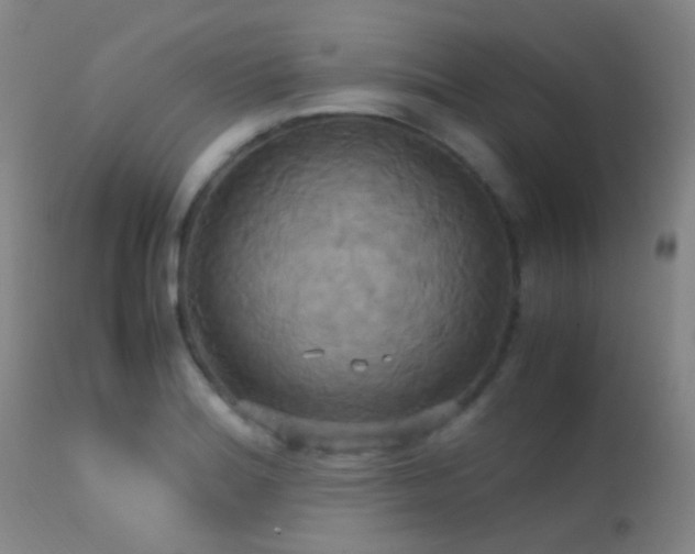 X0000113251180200909171619