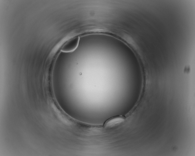 X0000113251181200909171619