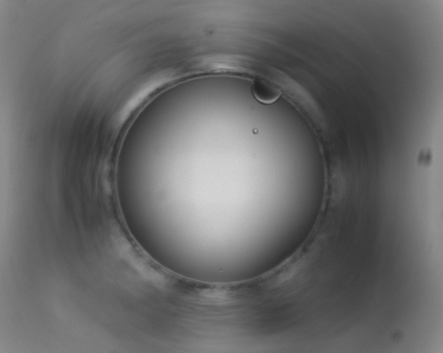 X0000113251182200909171619