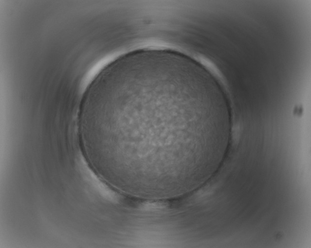 X0000113251183200909171619