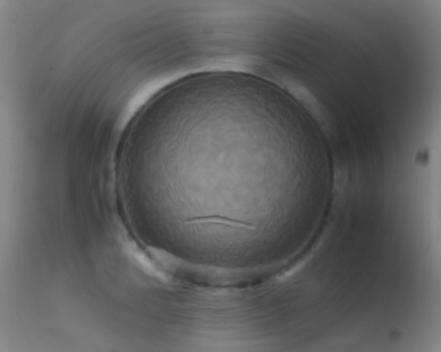 X0000113251184200909171618