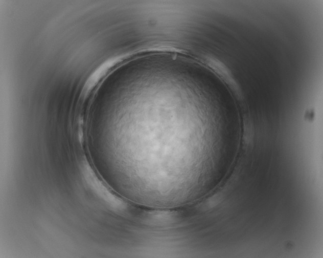 X0000113251188200909171618