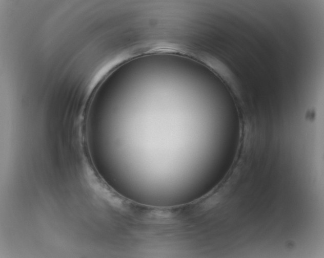 X0000113251190200909171618