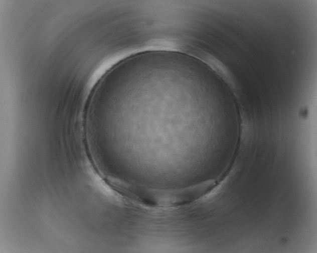 X0000113251192200909171618