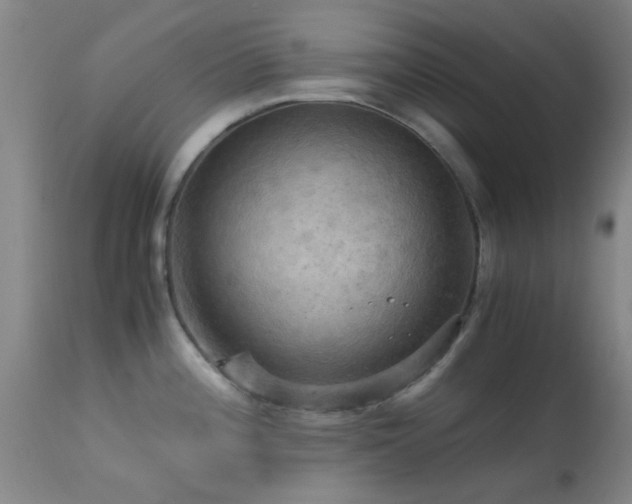 X0000113251196200909171618