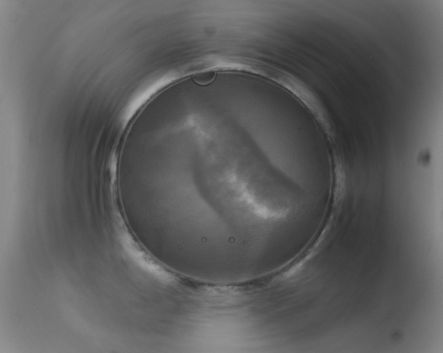 X0000113251198200909171618