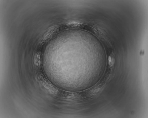 X0000113251203200909171618