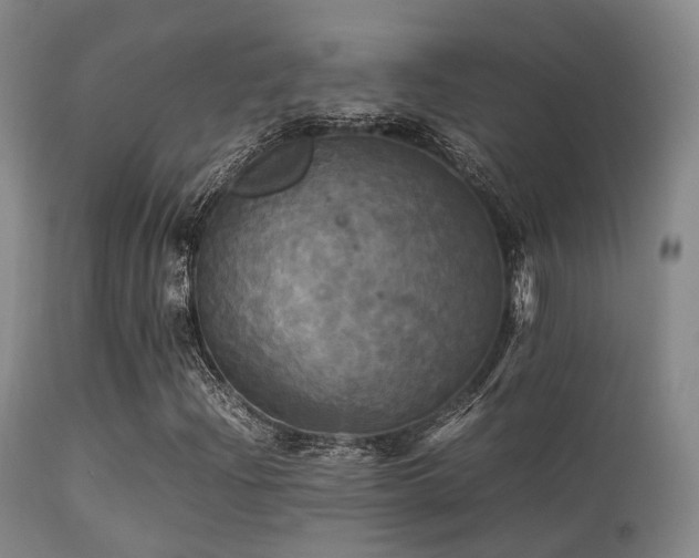 X0000113251204200909171618