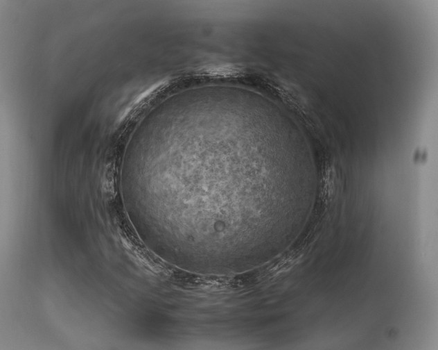 X0000113251205200909171618