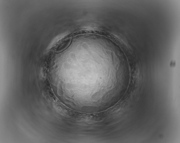 X0000113251207200909171618