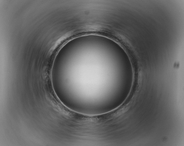X0000113251210200909171618