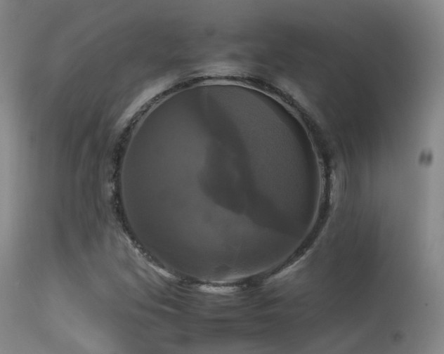 X0000113251213200909171618