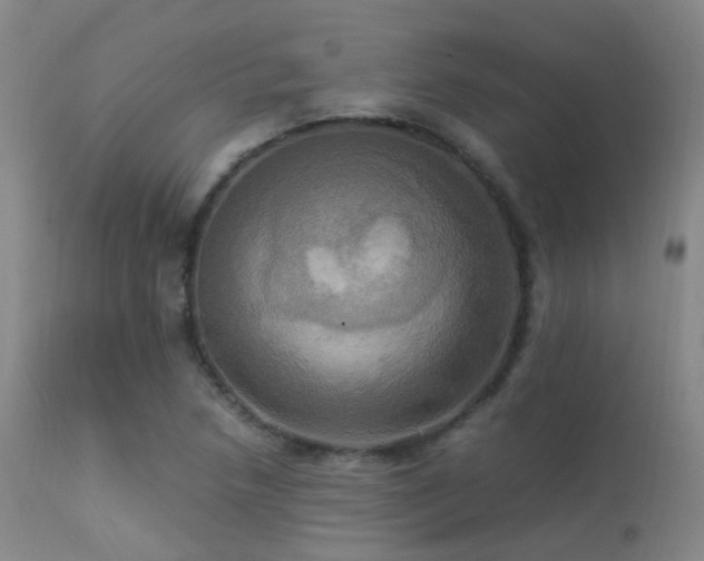 X0000113251218200909171618