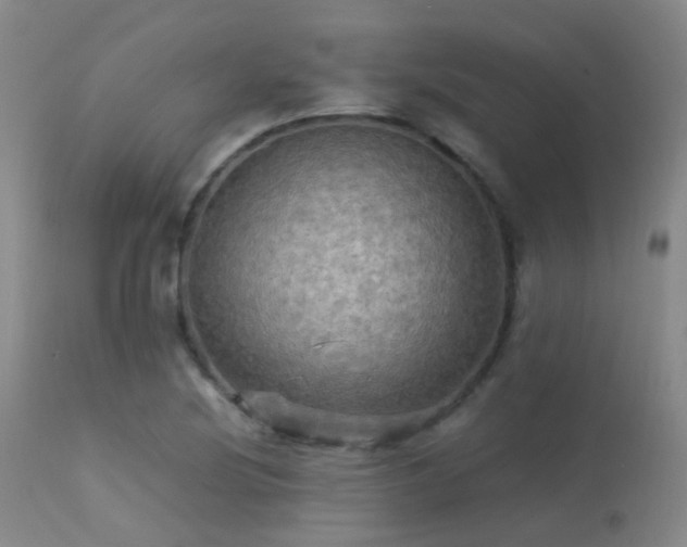 X0000113251220200909171618