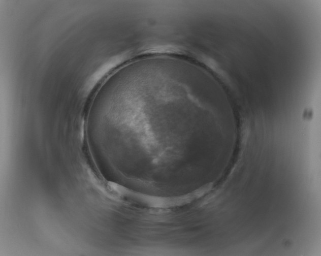 X0000113251221200909171618