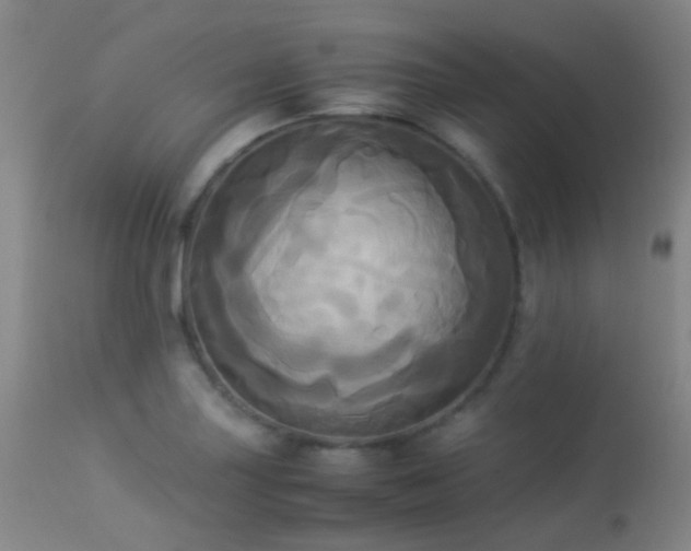 X0000113251227200909171618