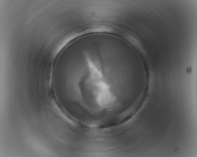 X0000113251228200909171618