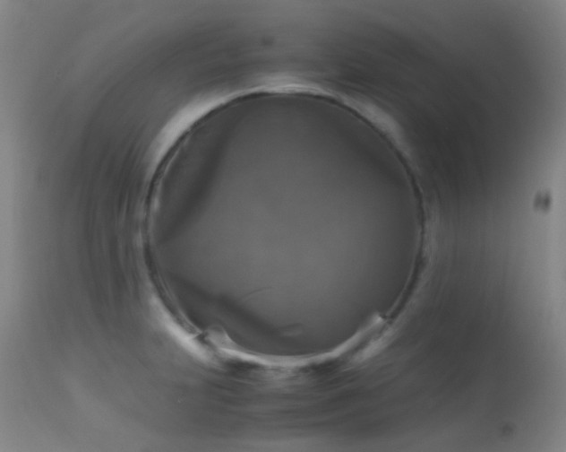 X0000113251231200909171618