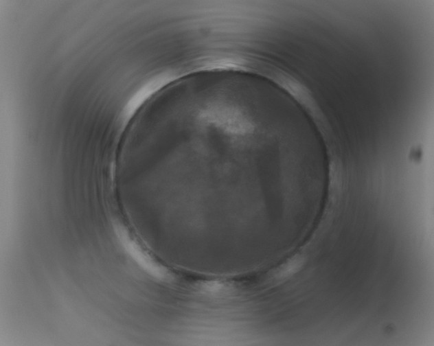 X0000113251234200909171618