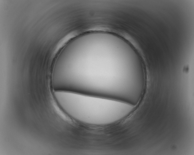 X0000113251237200909171618