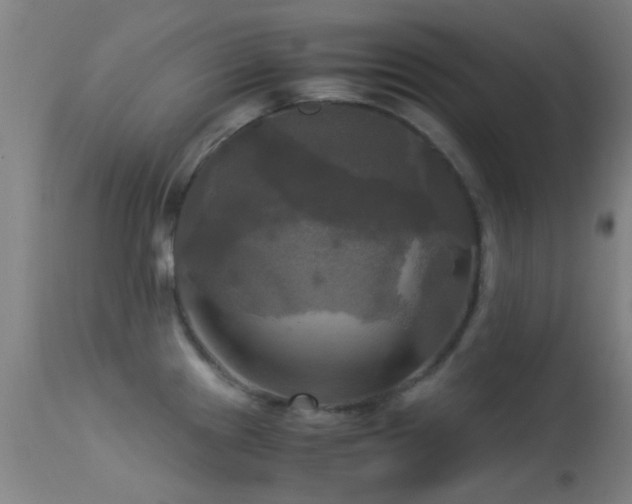 X0000113251241200909171618