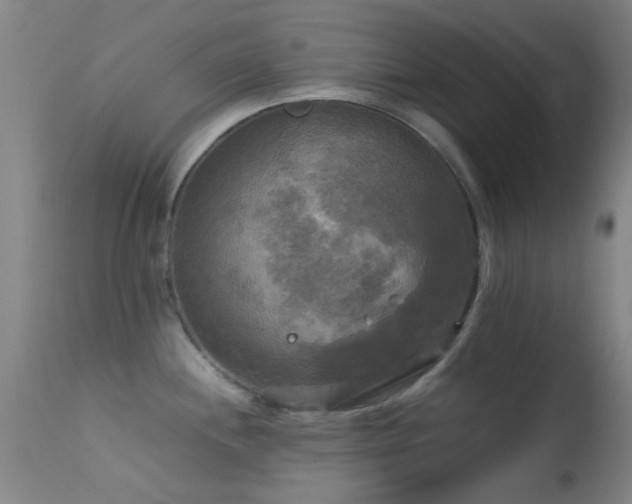 X0000113251244200909171618