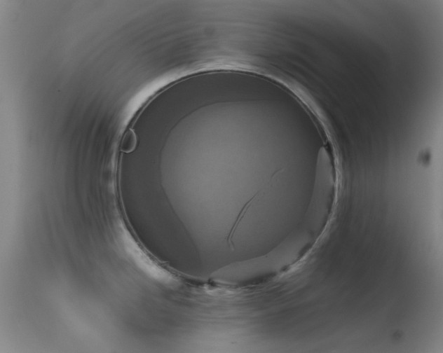 X0000113251246200909171618