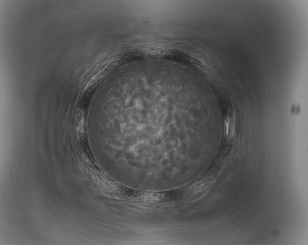 X0000113251251200909171618