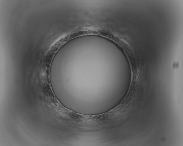 X0000113251254200909171618