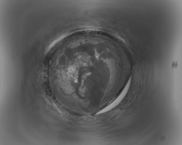 X0000113251255200909171618