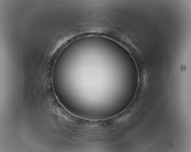 X0000113251256200909171618