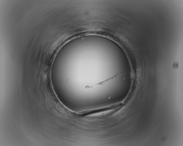X0000113251257200909171617