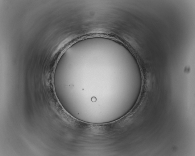 X0000113251258200909171617