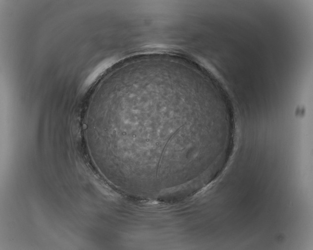 X0000113251259200909171617