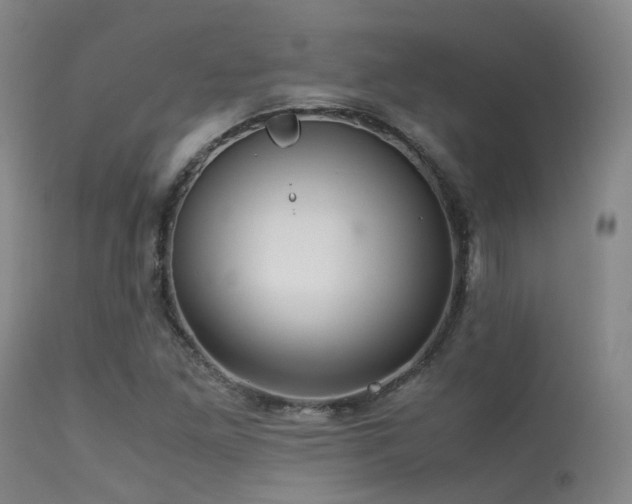 X0000113251261200909171617