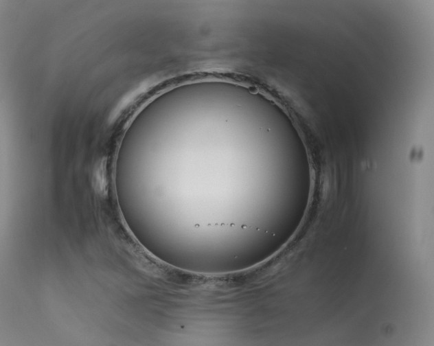 X0000113251262200909171617