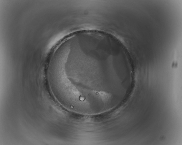X0000113251263200909171617