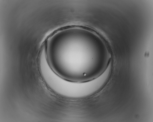 X0000113251264200909171617