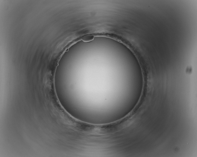 X0000113251265200909171617