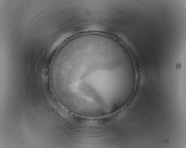 X0000113251266200909171617