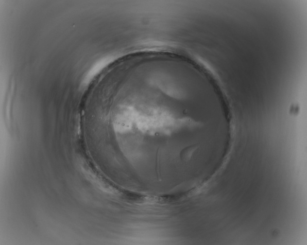 X0000113251267200909171617