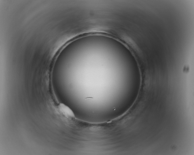 X0000113251268200909171617