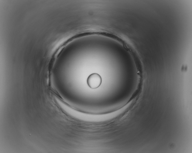 X0000113251269200909171617