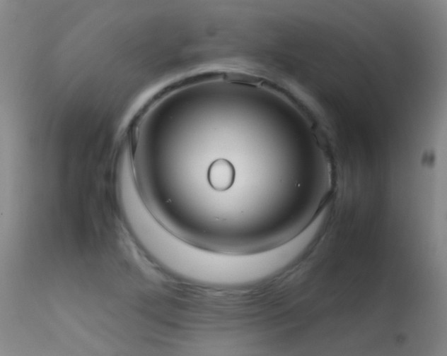 X0000113251272200909171617
