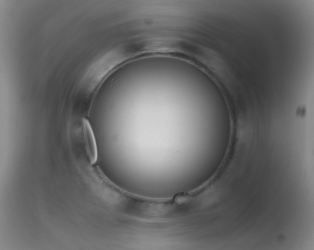 X0000113251273200909171617