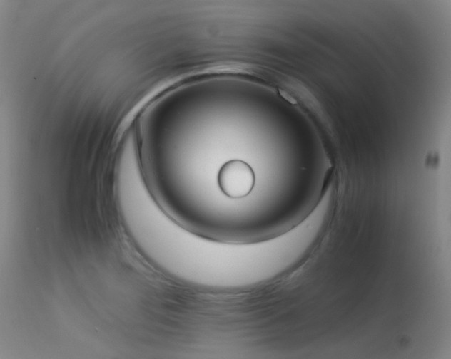 X0000113251276200909171617