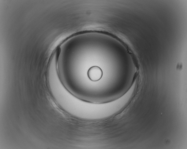 X0000113251277200909171617