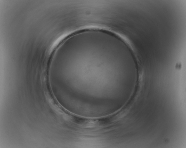 X0000113251279200909171617