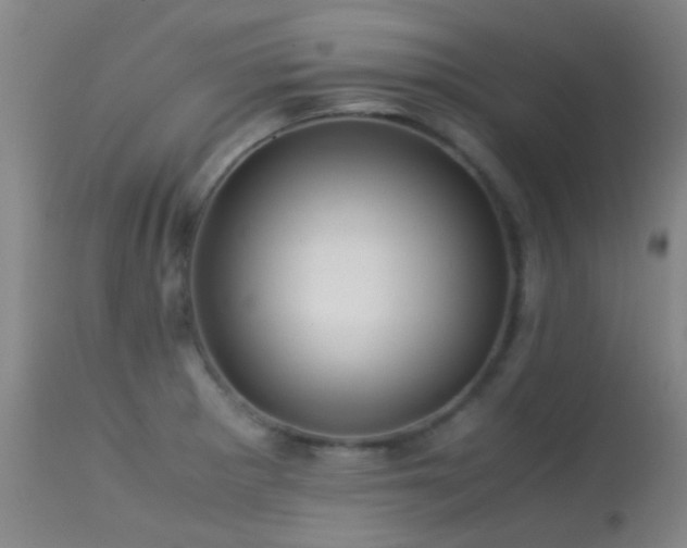 X0000113251281200909171617